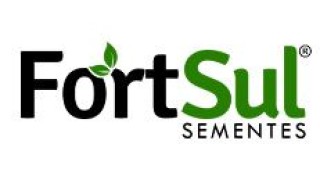 Fortsul